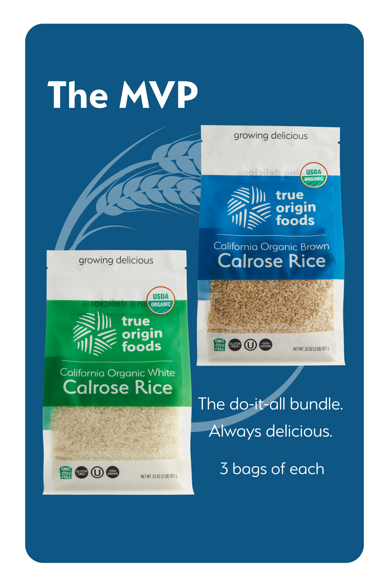 The MVP Bundle