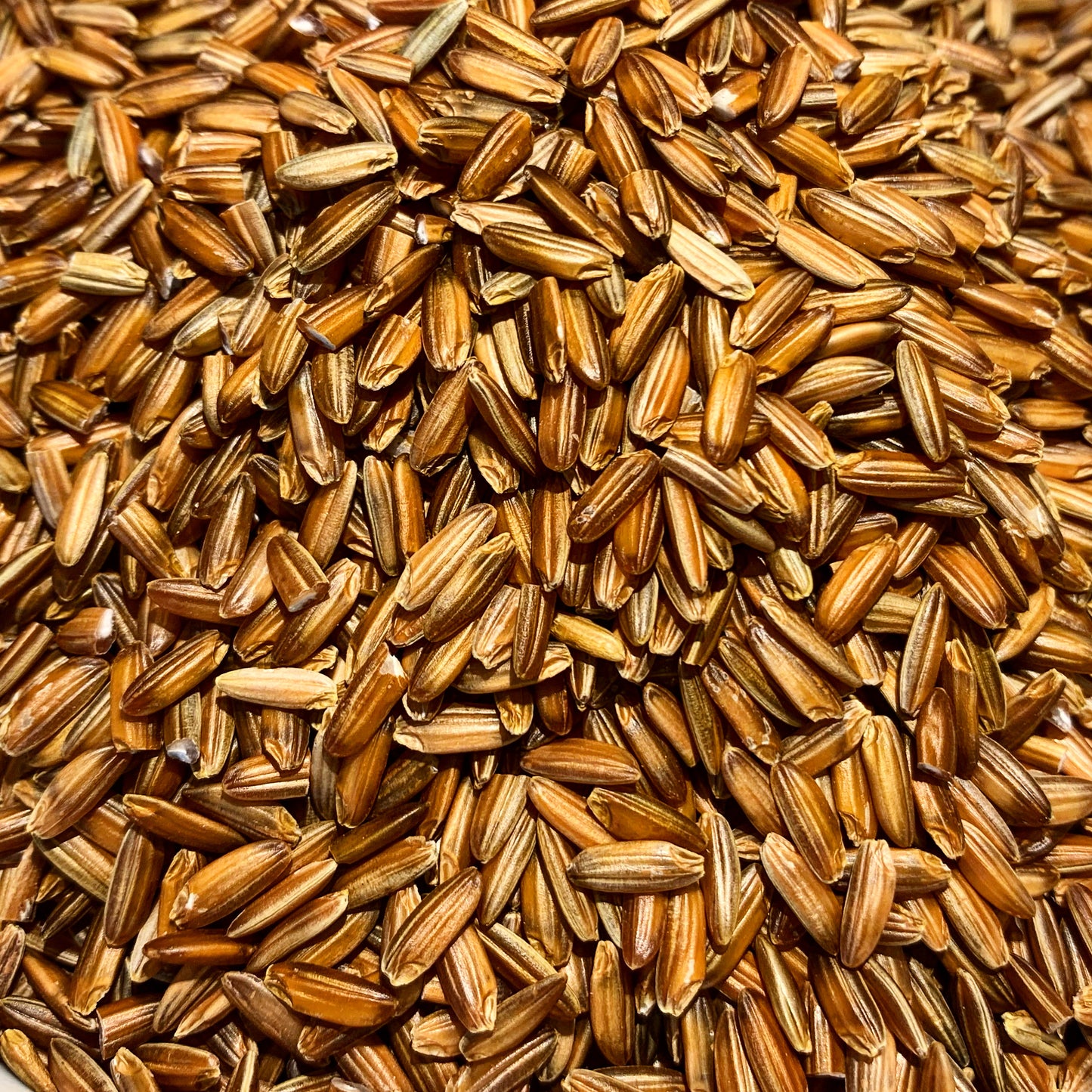 Red Rice