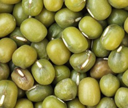 Organic Mung Beans