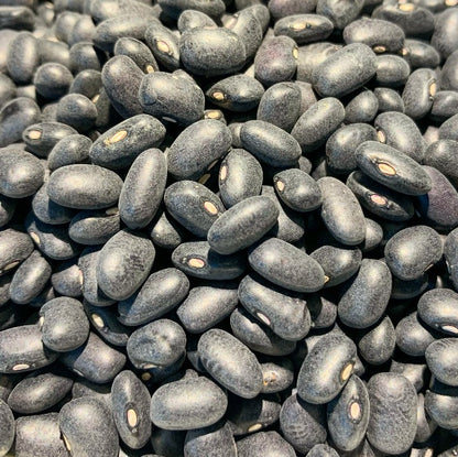 Organic Black Turtle Beans