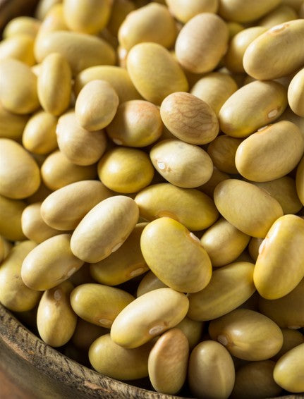 Mayo Coba Beans (Canary Beans)