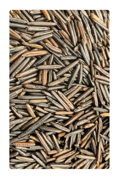 Wild Rice