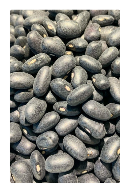 Organic Black Turtle Beans
