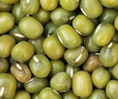 Organic Mung Beans -  25 lb. Bag