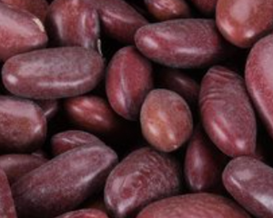Organic Kidney Beans - 2 lb. Bag